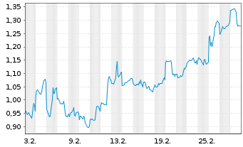Chart Mini Future Short Baidu - 1 Monat
