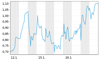 Chart Mini Future Long Salzgitter - 1 Monat