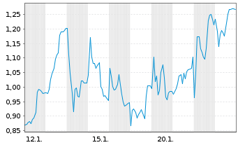 Chart Mini Future Long Salzgitter - 1 Monat
