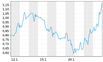Chart Mini Future Long Standard Lithium - 1 Monat