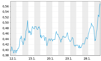 Chart Mini Future Long Chevron - 1 Monat