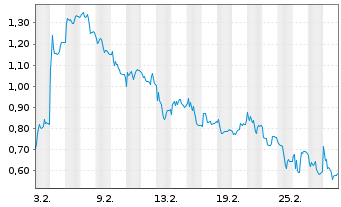 Chart Mini Future Short PVA TePla - 1 Monat