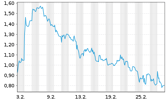 Chart Mini Future Short PVA TePla - 1 Monat