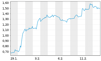 Chart Mini Future Long Verizon - 1 Monat