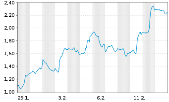 Chart Mini Future Short Block - 1 Monat