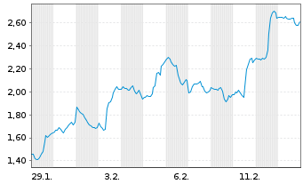 Chart Mini Future Short Block - 1 Monat