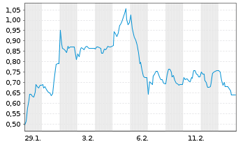 Chart Mini Future Short Bitcoin Group - 1 Monat