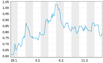Chart Mini Future Short Riot Blockchain - 1 Monat