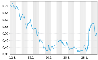 Chart Mini Future Long Carnival - 1 Monat
