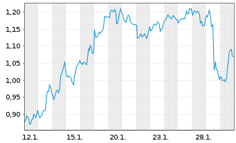 Chart Mini Future Short Carnival - 1 Monat