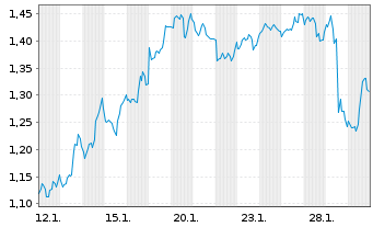 Chart Mini Future Short Carnival - 1 Monat