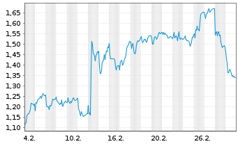 Chart Mini Future Long Fielmann - 1 Monat