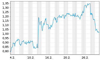 Chart Mini Future Long Fielmann - 1 Monat
