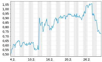 Chart Mini Future Long Fielmann - 1 Monat