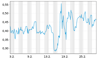 Chart Mini Future Long BICO Group - 1 Monat