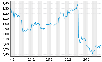Chart Mini Future Long First Solar - 1 Monat