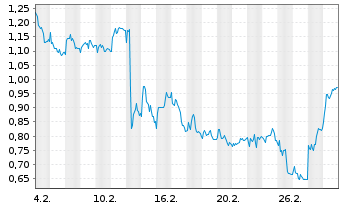Chart Mini Future Short Fielmann - 1 Monat