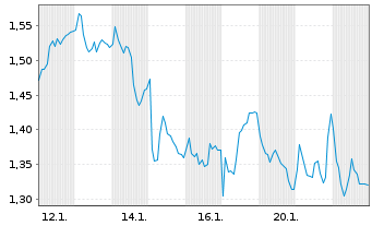 Chart Mini Future Long Industria de Diseno Textil - 1 Monat