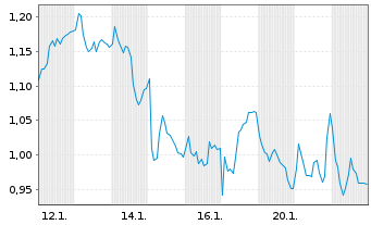 Chart Mini Future Long Industria de Diseno Textil - 1 Monat