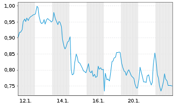 Chart Mini Future Long Industria de Diseno Textil - 1 Monat