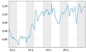Chart Mini Future Short Industria de Diseno Textil - 1 Monat