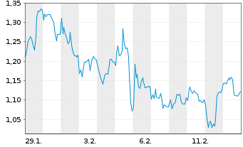 Chart Mini Future Short Bayer - 1 Monat