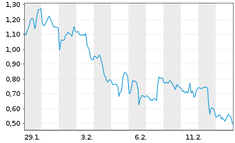 Chart Mini Future Long Meta Platforms - 1 Monat