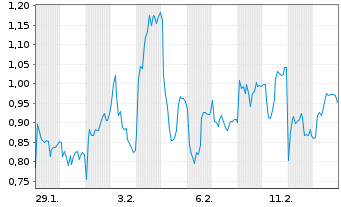 Chart Mini Future Long BMW - 1 Monat