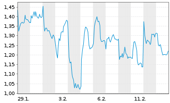Chart Mini Future Short BMW - 1 Monat