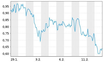 Chart Mini Future Long LVMH - 1 Monat