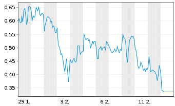 Chart Mini Future Long LVMH - 1 Monat