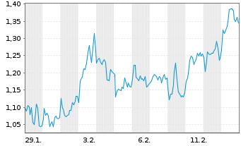 Chart Mini Future Short LVMH - 1 Monat