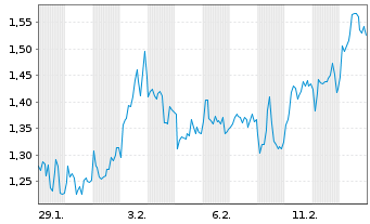 Chart Mini Future Short LVMH - 1 Monat