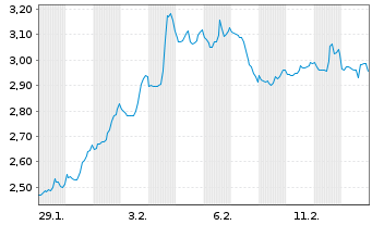 Chart Mini Future Long Berkshire Hathaway - 1 Monat