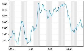 Chart Mini Future Short Micron - 1 Monat