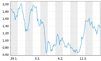 Chart Mini Future Long Micron - 1 Monat