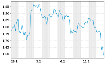 Chart Mini Future Long Visa - 1 Monat