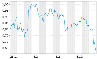 Chart Mini Future Long Visa - 1 Monat