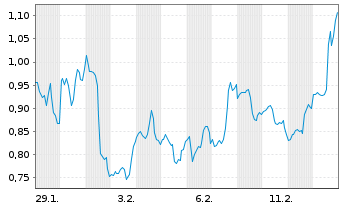 Chart Mini Future Short Visa - 1 Monat