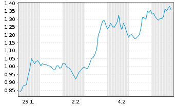 Chart Mini Future Short Salesforce.com - 1 Monat