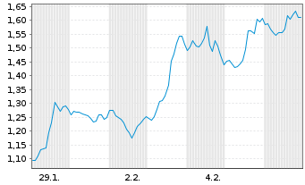 Chart Mini Future Short Salesforce.com - 1 Monat