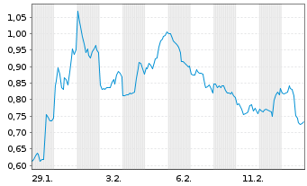 Chart Mini Future Short Newmont - 1 Monat