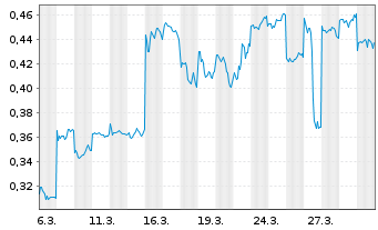 Chart Mini Future Long BYD - 1 Monat