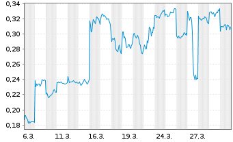 Chart Mini Future Long BYD - 1 Month