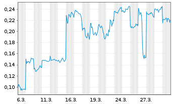 Chart Mini Future Long BYD - 1 Monat