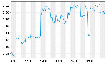 Chart Mini Future Long BYD - 1 Monat