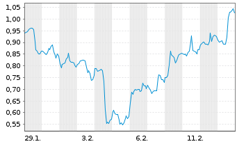 Chart Mini Future Long Vistra - 1 Monat