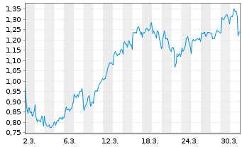 Chart Mini Future Long Shell - 1 Monat