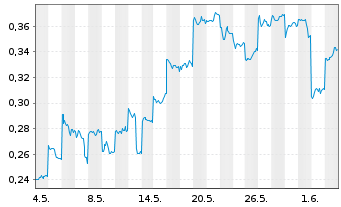 Chart Mini Future Short BYD - 1 Monat