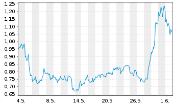 Chart Mini Future Long Palantir - 1 Monat